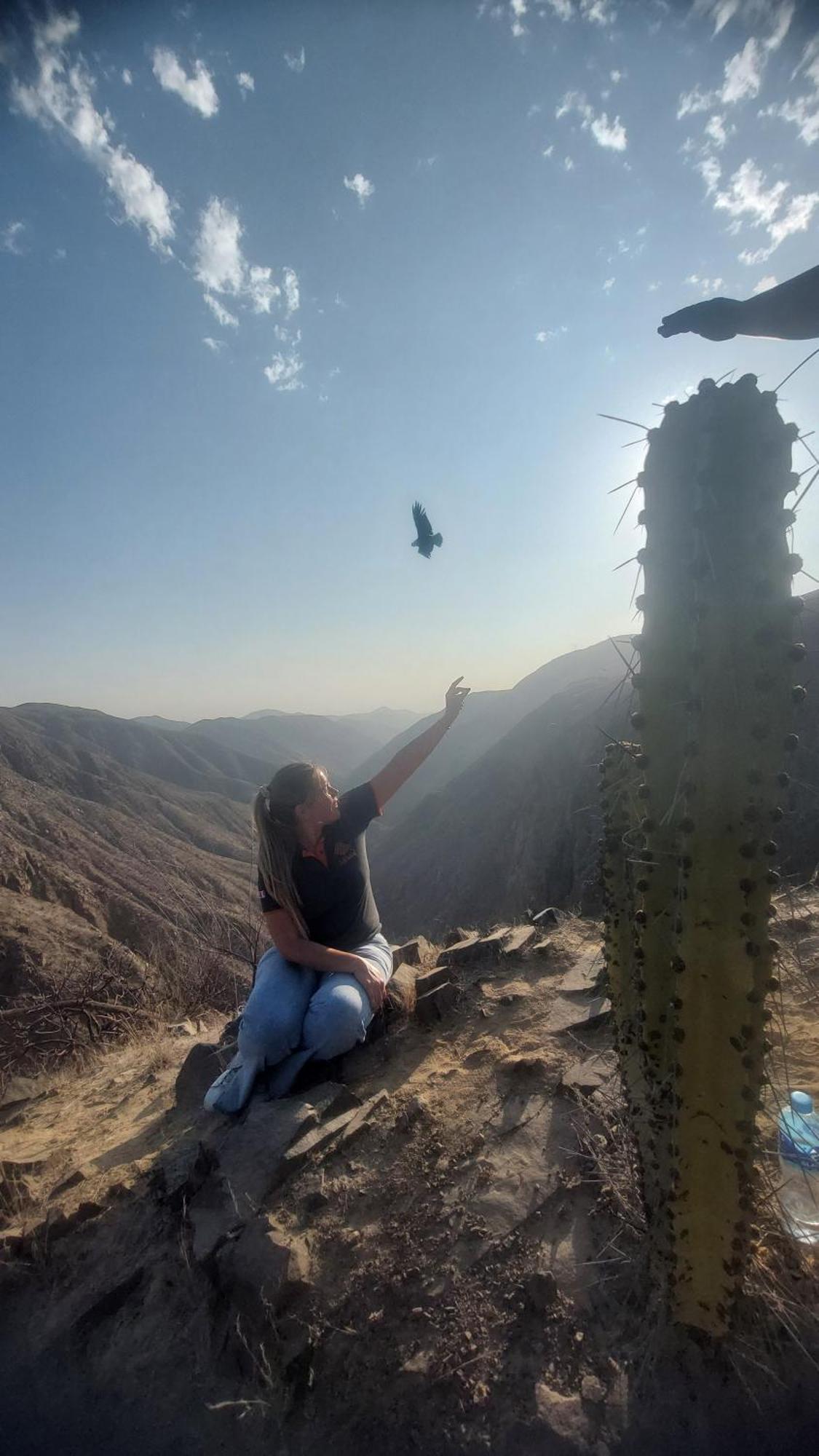 Jumana Hotel Nazca Buitenkant foto