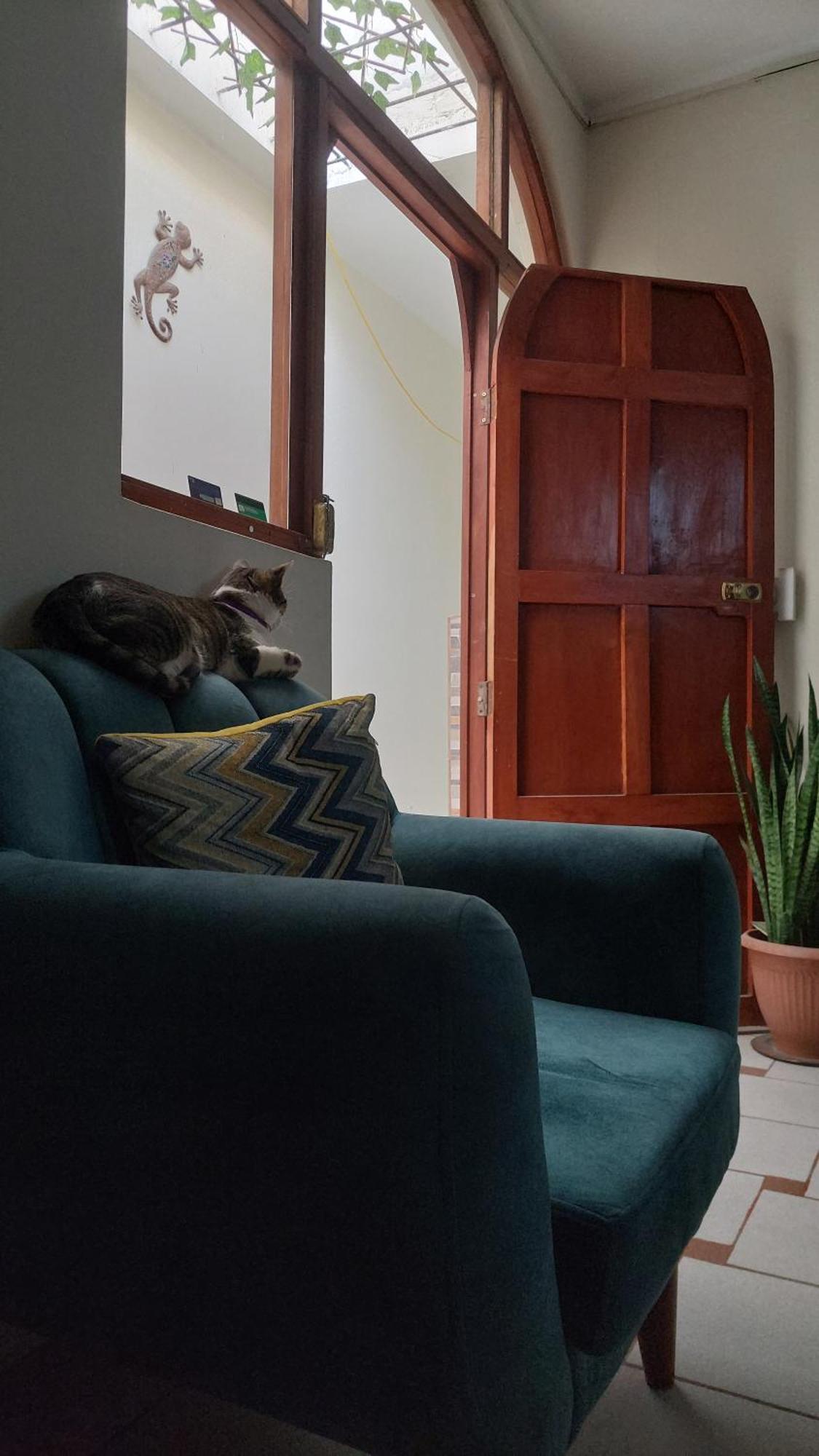 Jumana Hotel Nazca Buitenkant foto